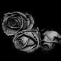 Image result for Vintage Rose Wallpaper Black