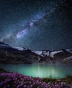 Image result for Night Nature Photography