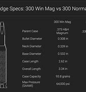 Image result for 8Mm Rem Mag vs 300 Win Mag