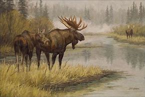 Image result for Alaska Wildlife Art