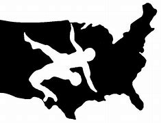 Image result for USA Wrestling Logo Carbon Fiber