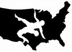 Image result for Go Team Nevada USA Wrestling Logo