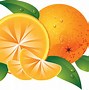 Image result for oranges clip arts