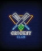 Image result for Cricket Wireless Neon Sign