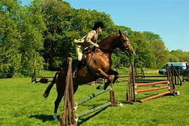 Image result for Horse Raceing Clip Art