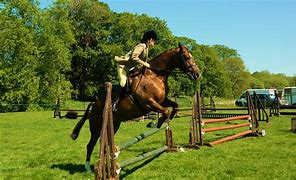 Image result for Horse Run