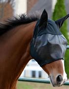 Image result for Horse Fly Masks