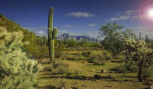 Image result for Abandoned Places in Arizona