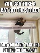 Image result for Hobo Cat Meme