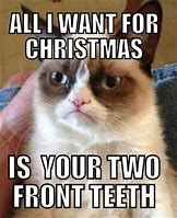 Image result for Funny Anti Christmas Memes