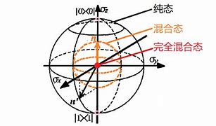 Image result for 布洛赫