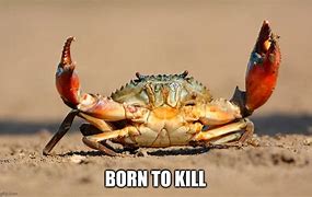 Image result for Crab Rave Meme