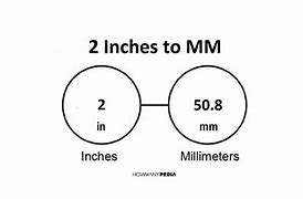 Image result for How Large Is 8 Inches