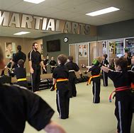 Image result for Premier Martial Arts School