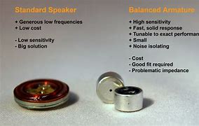Image result for World's Smallest Earbuds