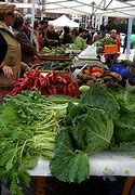 Image result for Fresh Food Market