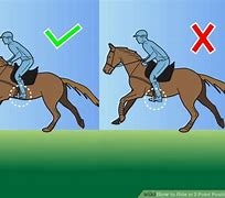Image result for Horse Riding Position