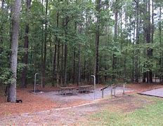 Image result for Camping at Bob Allison Picnic Ground NC