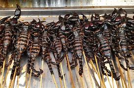Image result for Insects in Food Products
