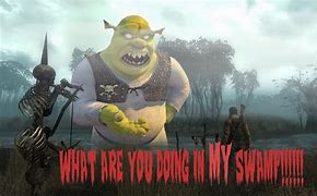 Image result for What Are You Doing My Swamp