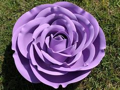 Image result for Dobla Rose 2D Large