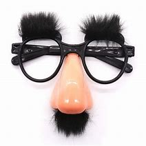 Image result for Funny Nose Glasses