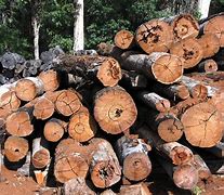 Image result for 2X10 8Ft Lumber