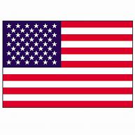 Image result for USA Flag ClipArt