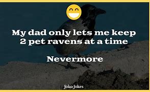Image result for The Bird Ravens Jokes