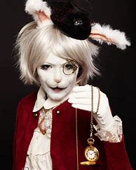Image result for Alice in Wonderland Hare Costume