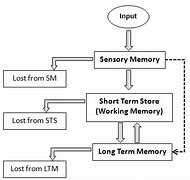 Image result for Pathway Short-Term Memory
