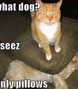 Image result for Cat Dog Funny Jokes