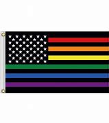 Image result for Rainbow American Flag