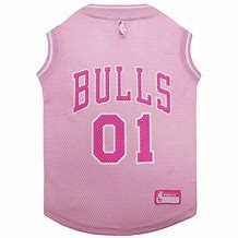 Image result for Chicago Bulls Jacket