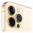 Image result for iPhone 12 Pro Gold Colour