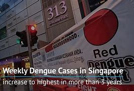 Image result for Dengue Singapore