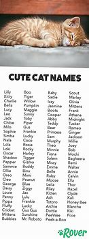 Image result for funny male cats name movie
