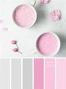 Image result for Pink and Gray Color Scheme