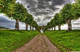 Image result for Natural Background Design