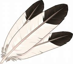 Image result for Eagle Feather Clip Art