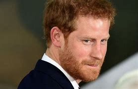 Image result for Prince Harry Beach Home