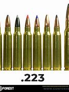 Image result for 223 Bullet Comparison