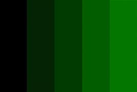 Image result for Black and Green Color Scheme