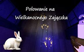 Image result for co_to_znaczy_zając_polarny