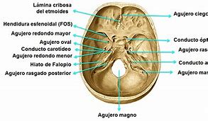 Image result for afujero