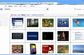 Image result for Bing Image Viewer