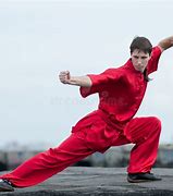 Image result for Violent Martial Arts