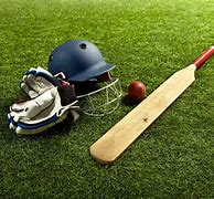 Image result for Cricket School Project
