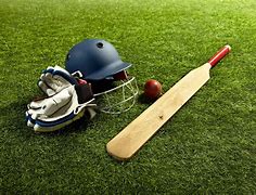 Image result for Cricket All-Rounder Game