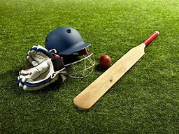 Image result for Cricket Instrument